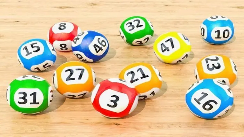 Bật mí cách nuôi lô 10 ngày cực chuẩn từ A-Z
